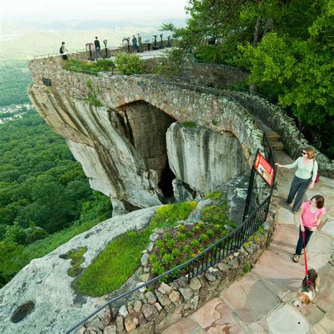 places to stay near lookout mountain chattanooga tn